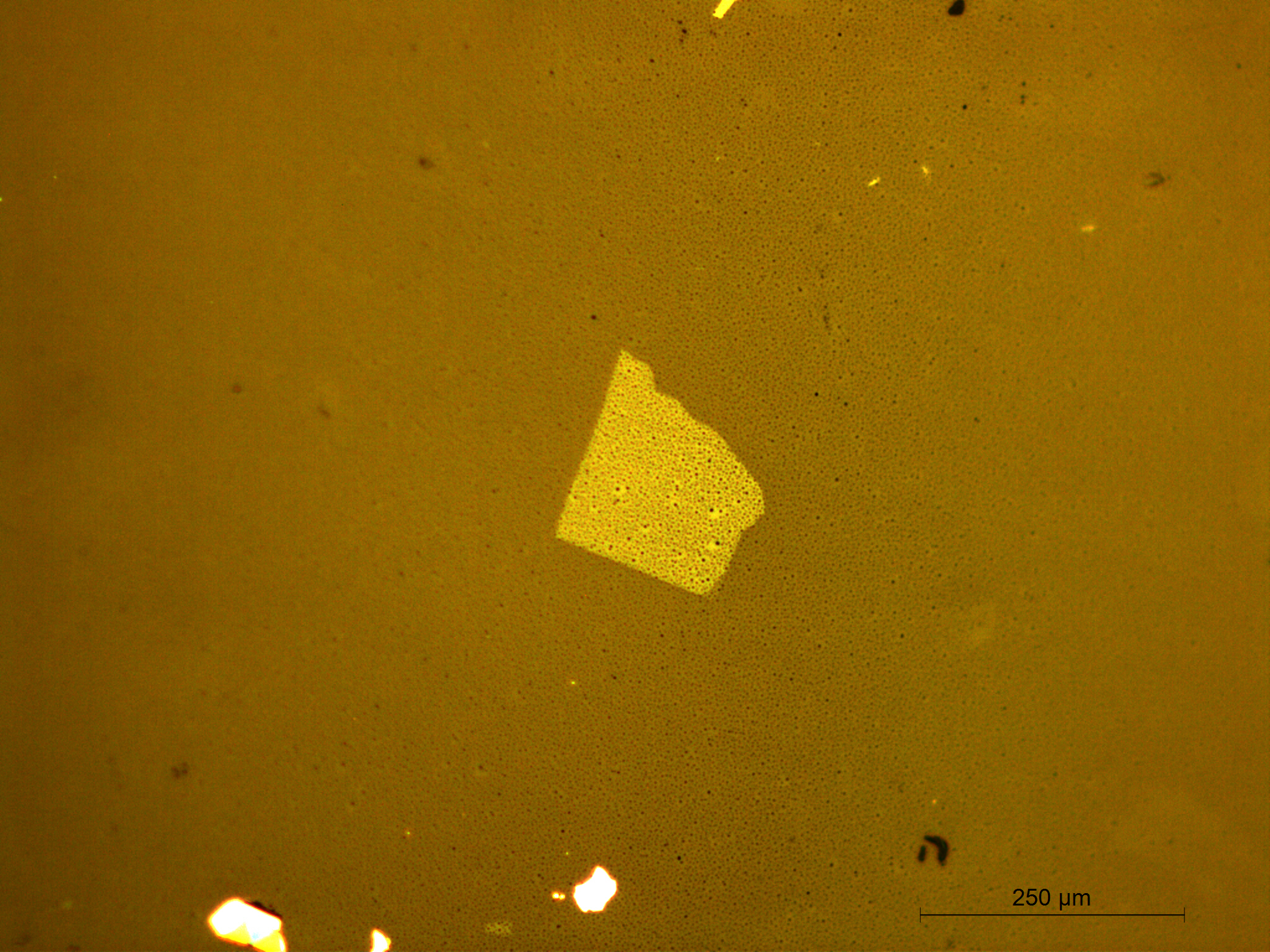 batyr-1.jpg